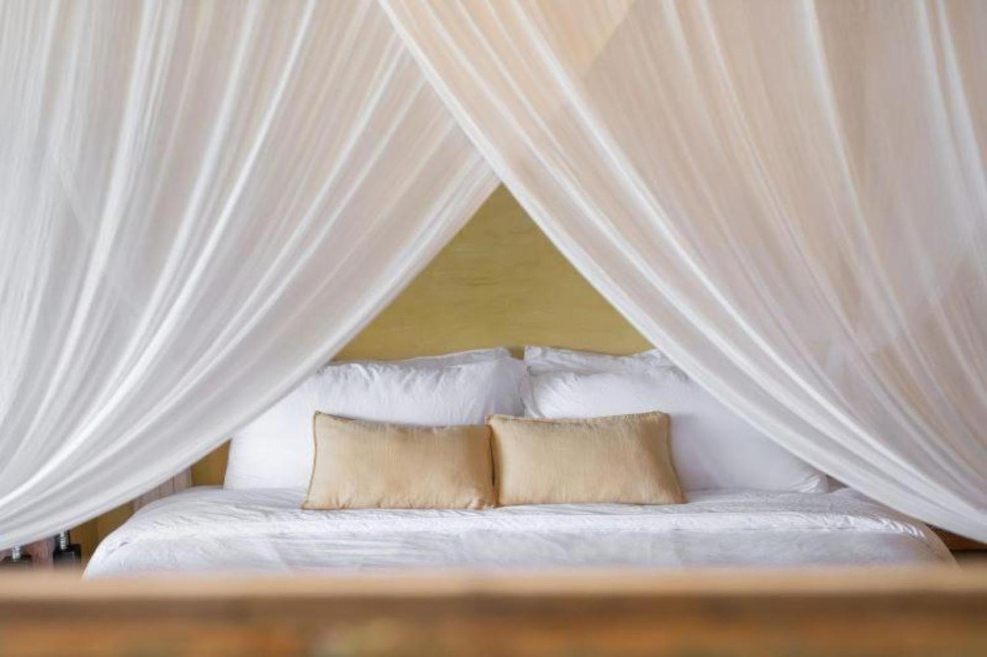 Sumba Lodge マヌエル・アントニオ エクステリア 写真