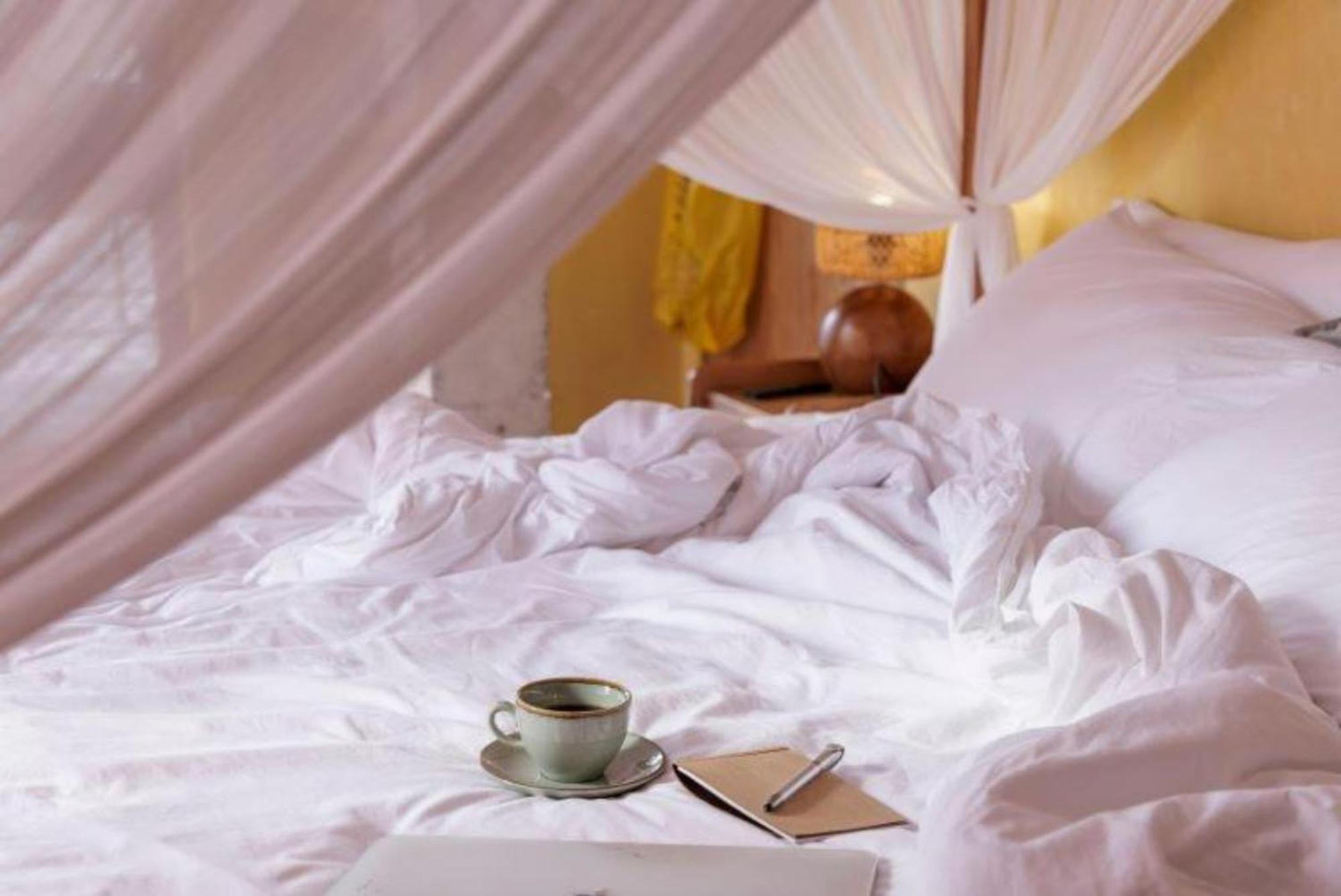 Sumba Lodge マヌエル・アントニオ エクステリア 写真